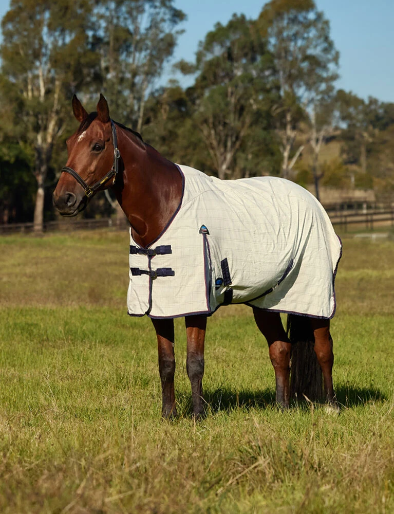 Cotton Summer Sheet