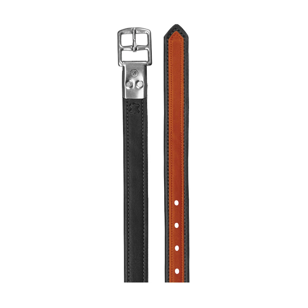 Stirrup Leathers Coloured Luxe