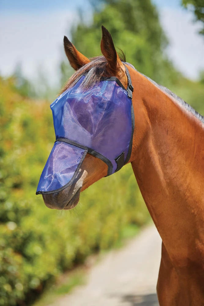 Fine Mesh Mask With Nose