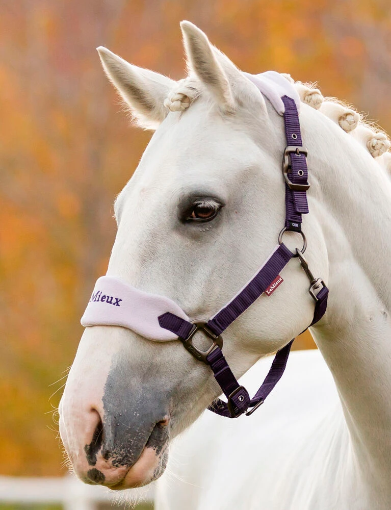 Vogue Headcollar And Leadrope