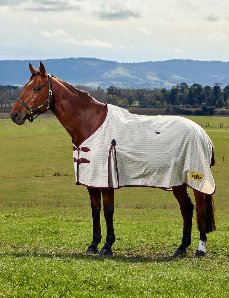Kool Coat Cotton Sheet