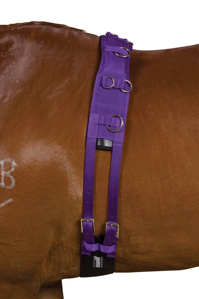 Deluxe Equigrip Lunge Roller