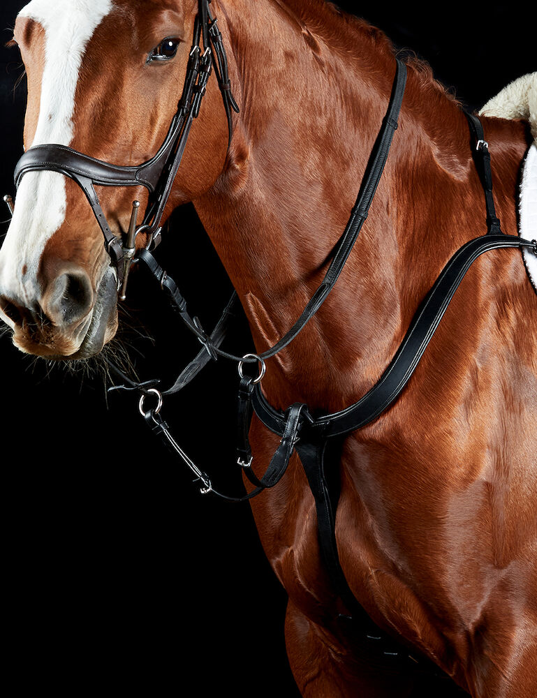ComFiTec 3 Point Breastplate