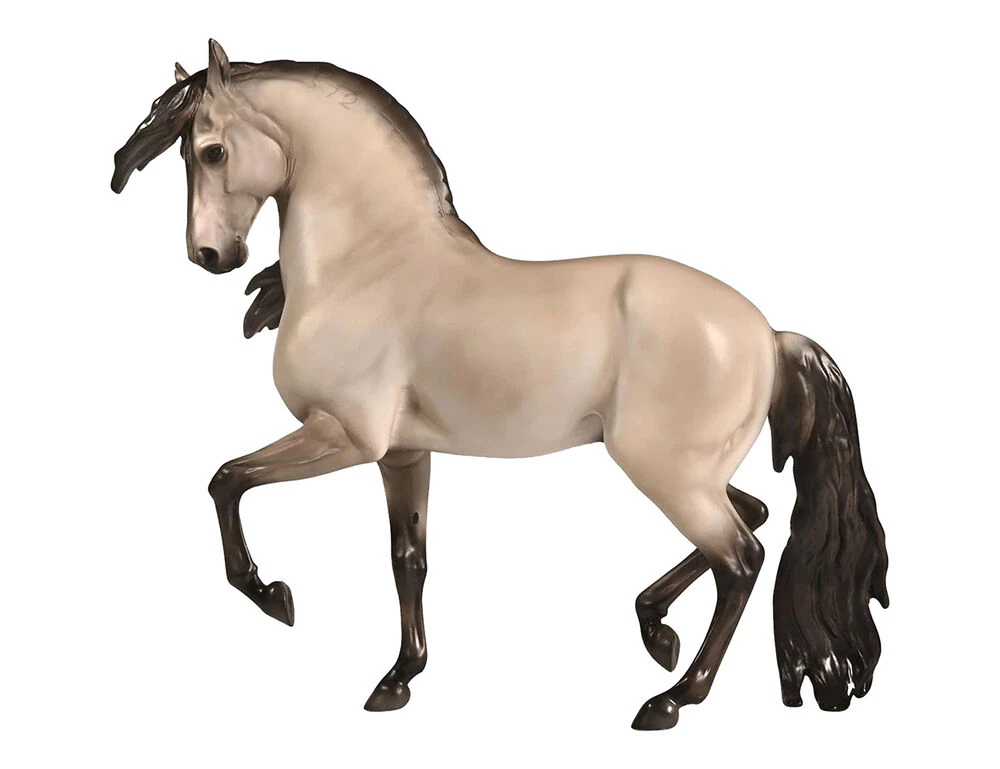 Traditional Cossaco � Lusitano