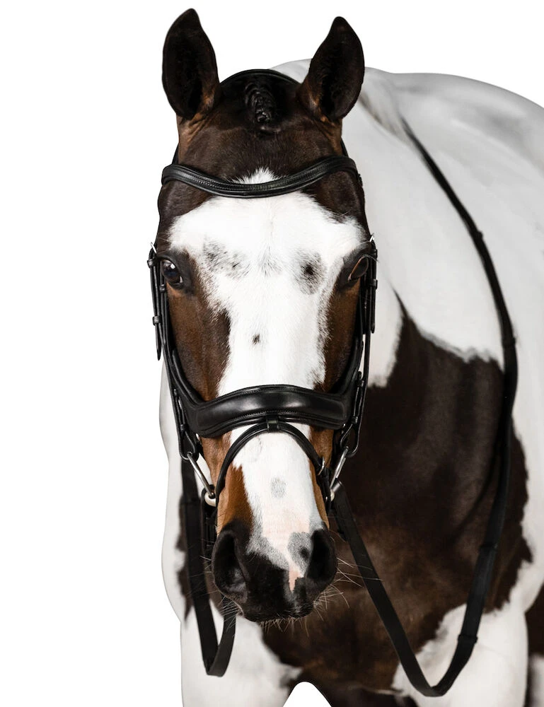 Connection Bridle