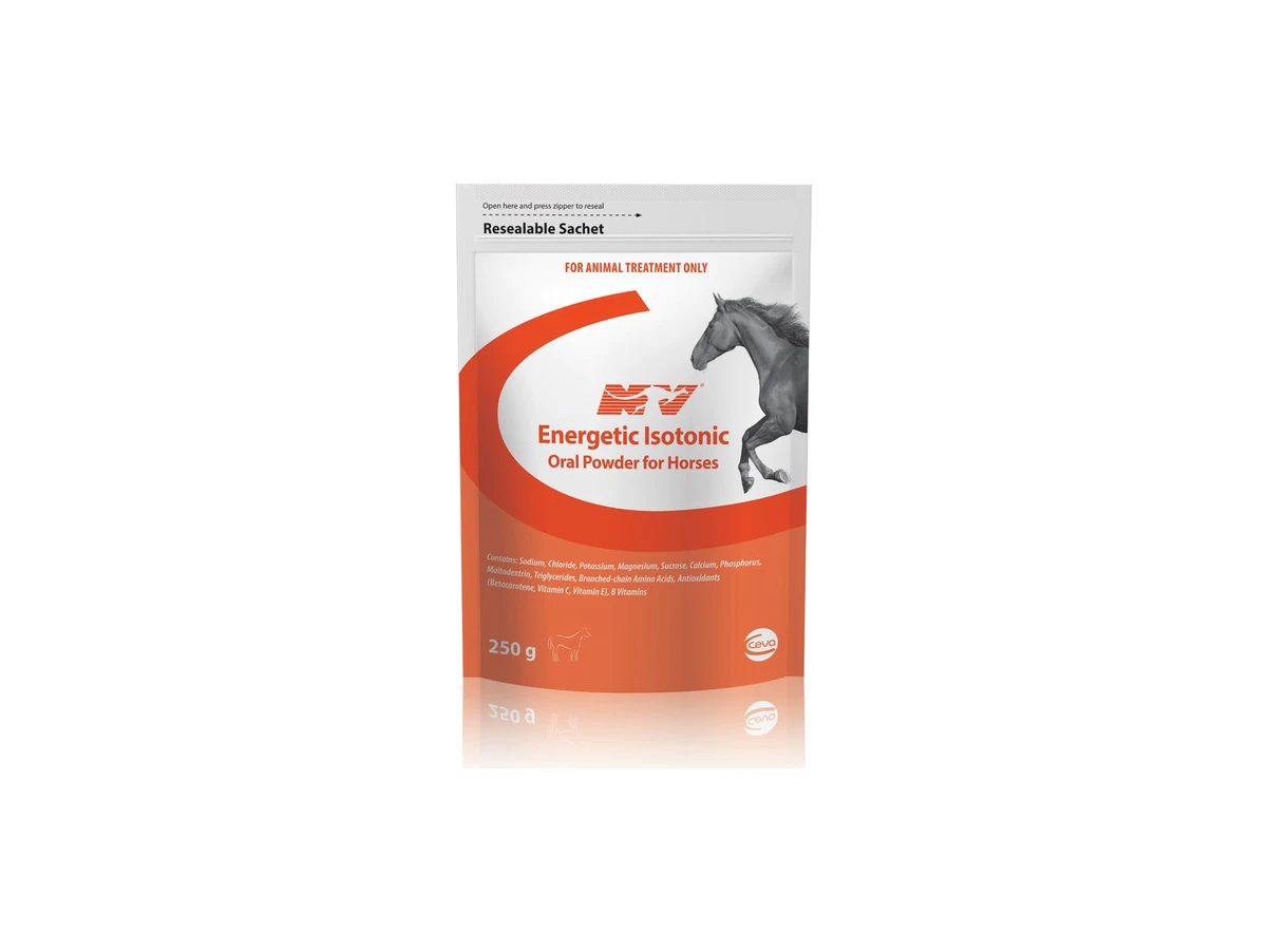 Energetic Powder - 250GM