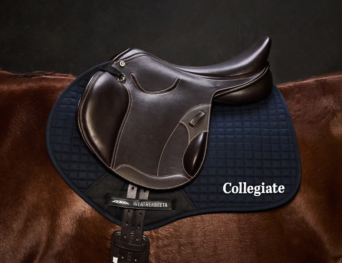 Distinction Mono Event Saddle