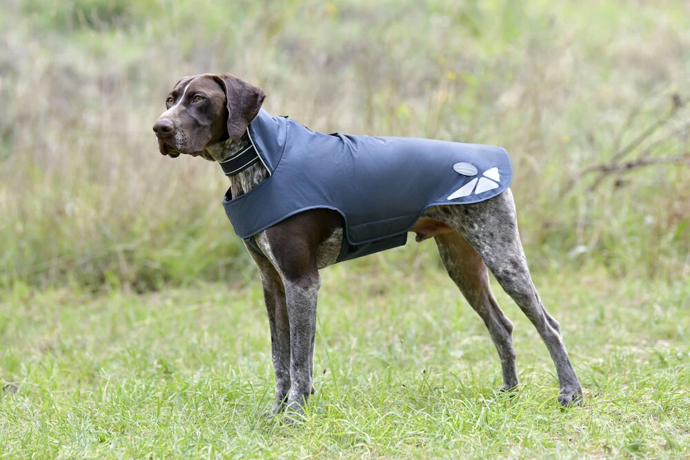 Explorer Lite Dog Coat