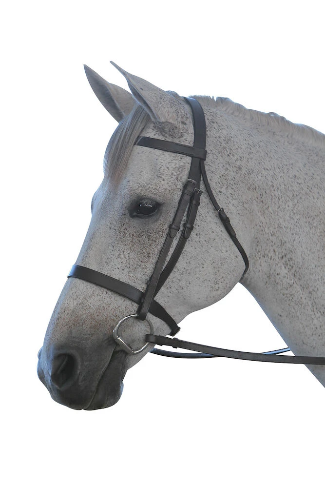 Flat Cavesson III Bridle