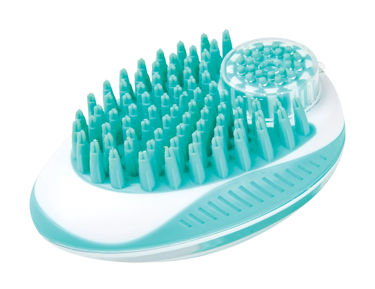 Wash Brush