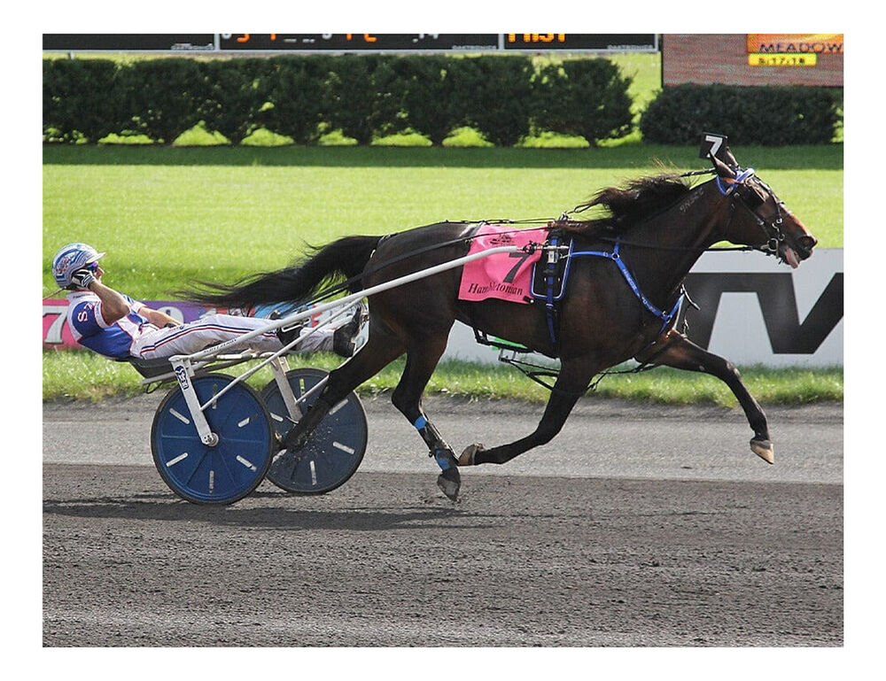 Traditional Atlanta- Standardbred Trotter