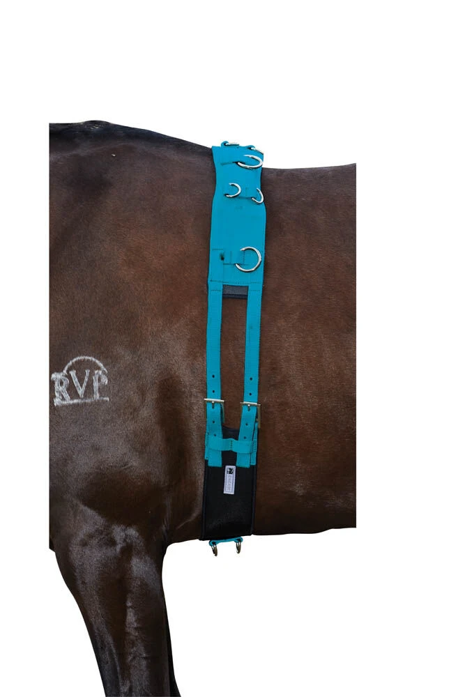 Brights Deluxe Equigrip Lunge Roller