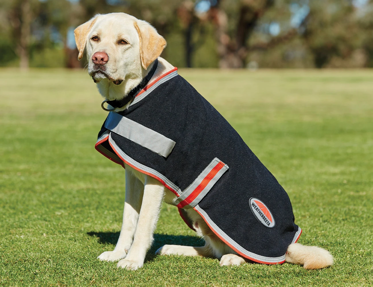 ComFiTec Therapy-Tec Fleece Dog Coat