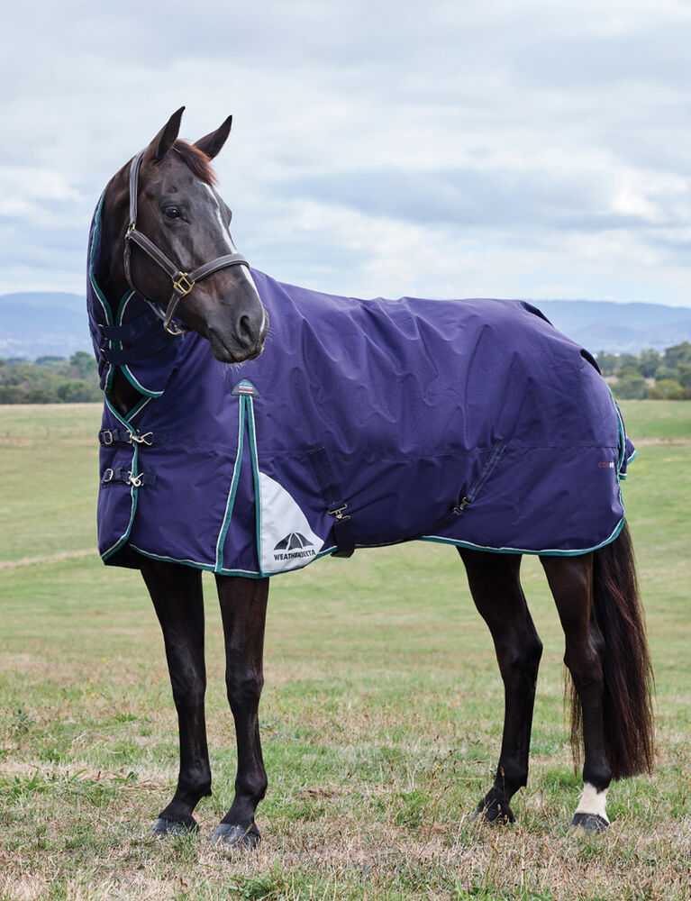 ComFiTec Plus Dynamic Turnout Combo 100G