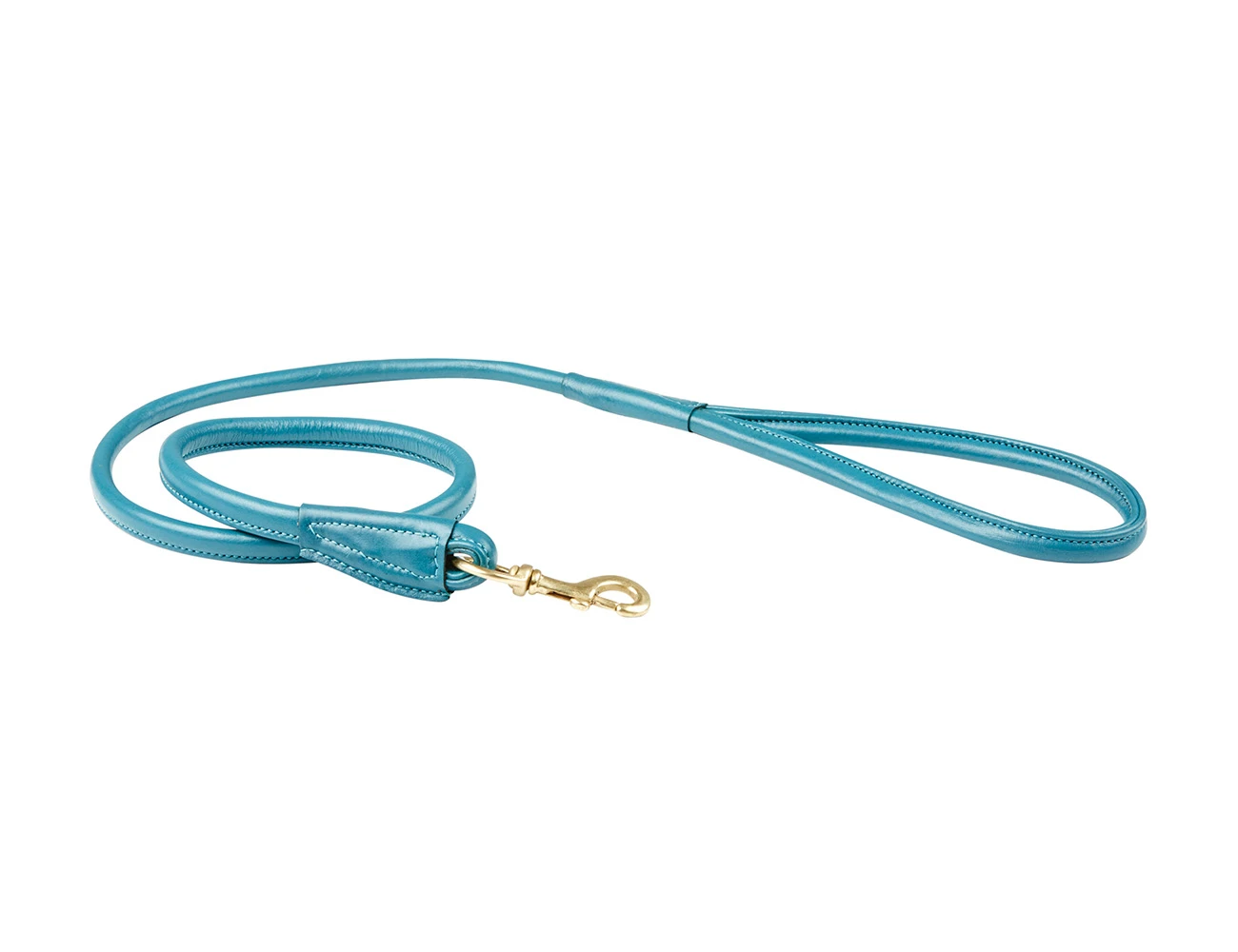 Rolled Leather Dog Lead