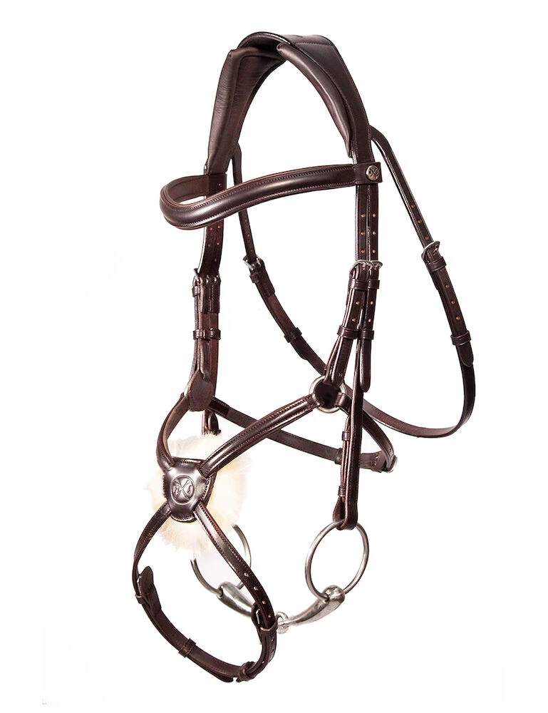 Mexican Grackle Bridle
