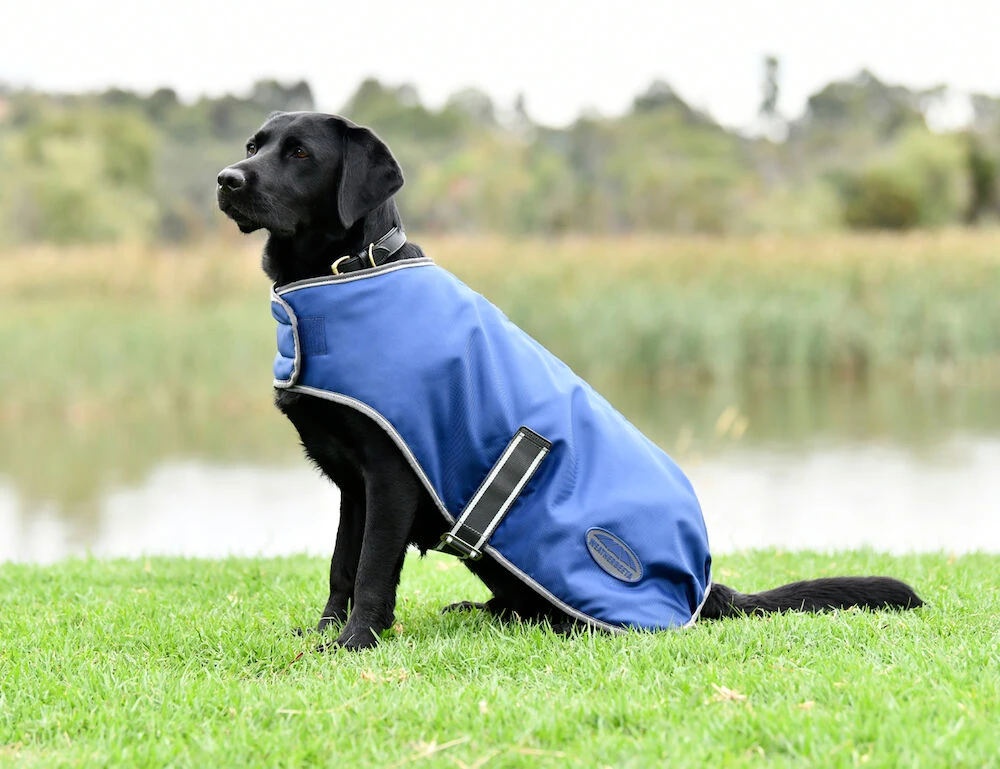 ComFiTec Windbreaker Free Dog Coat