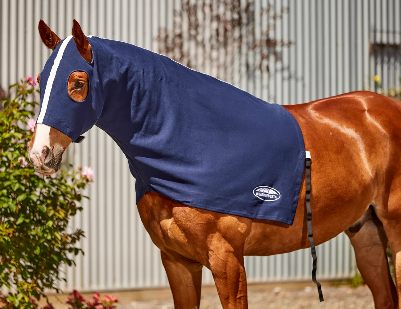 Cotton Stretch Hood With Zip