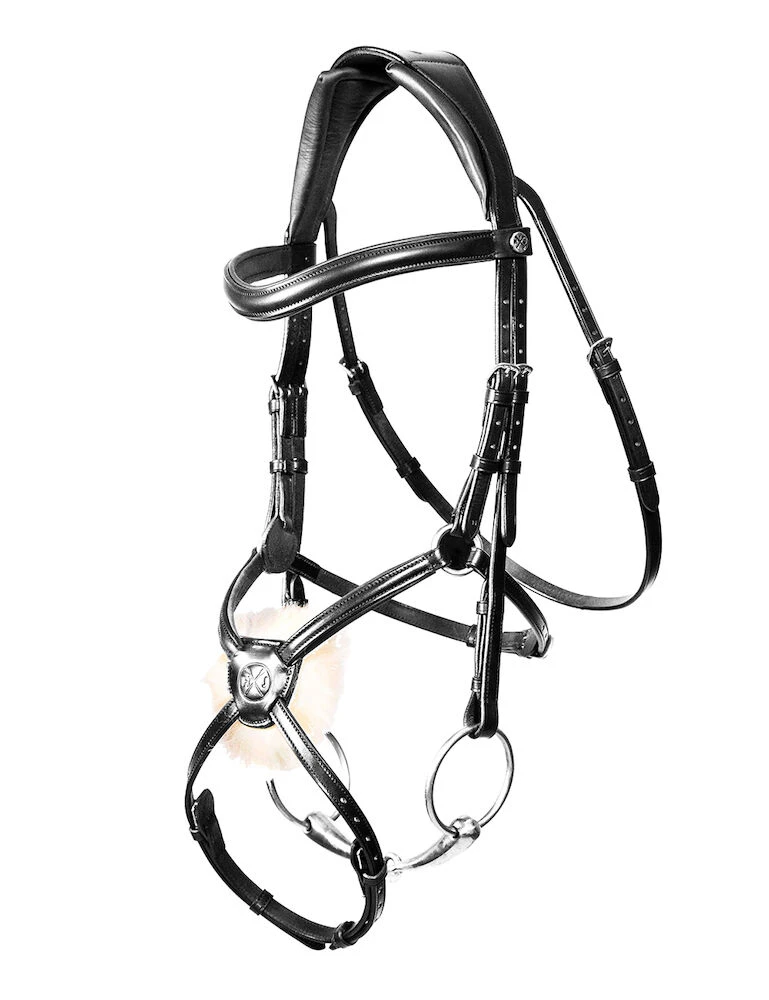 Mexican Grackle Bridle