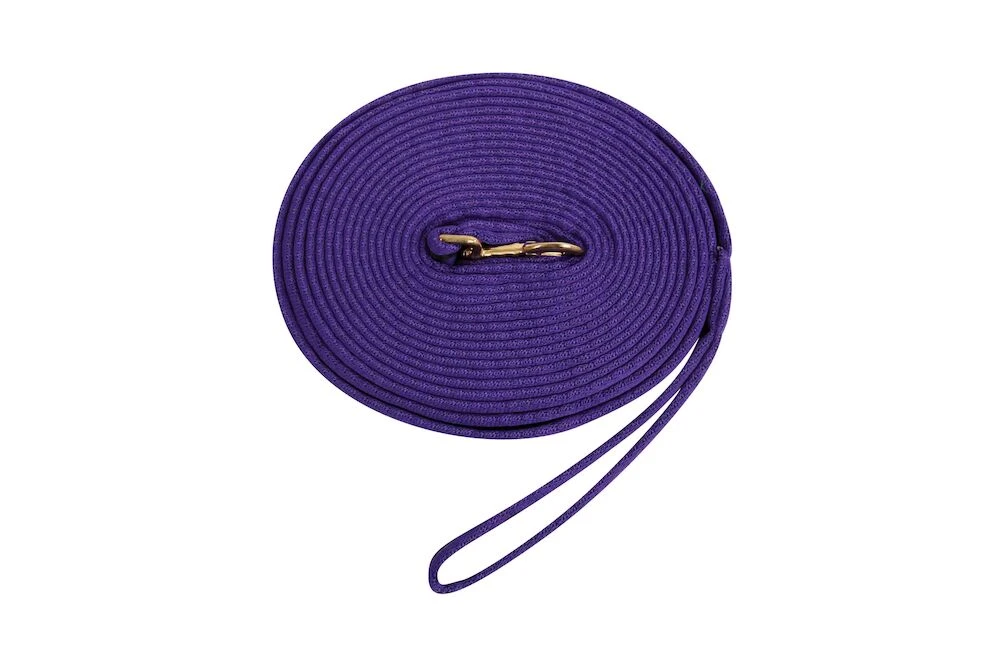 Two Tone Padded Lunging Rein
