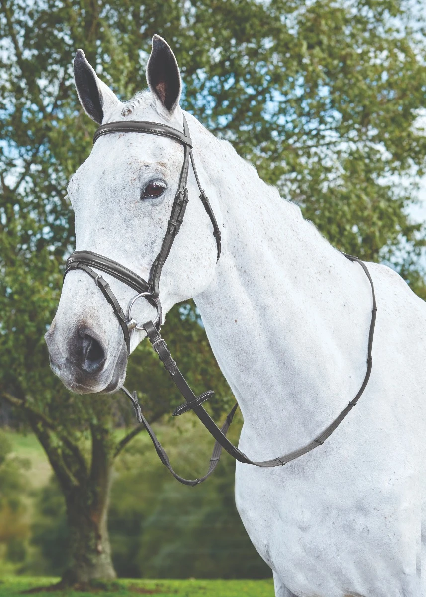 Flash Bridle III