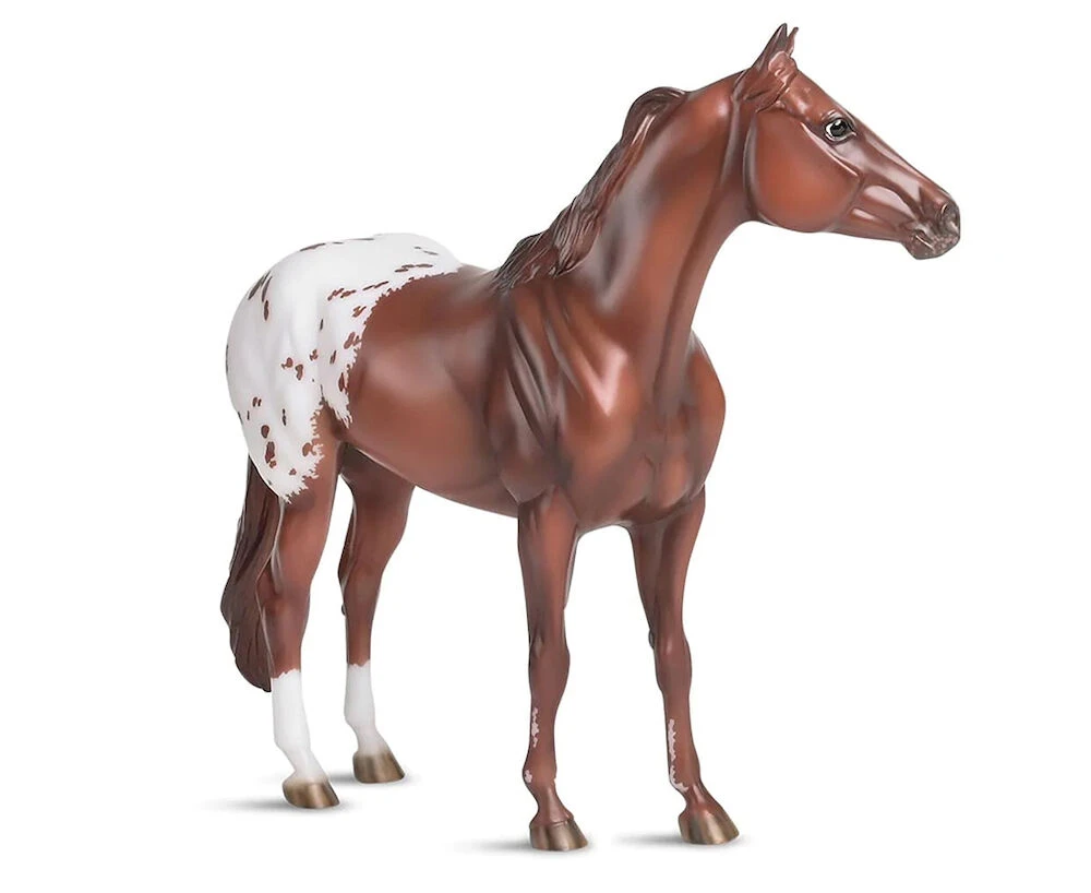 Ideal Series - Appaloosa