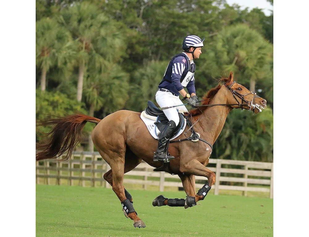 Boyd Martin Eventing Xc Boots 4 Pack