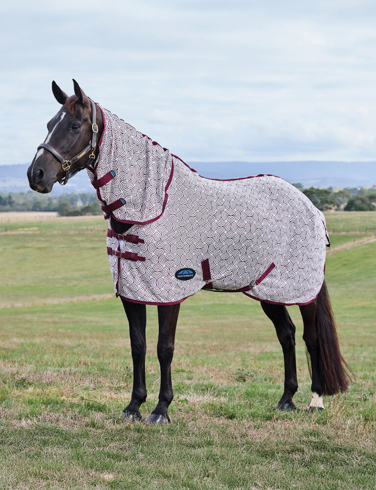 ComFiTec Limited Edition Fly Sheet Combo