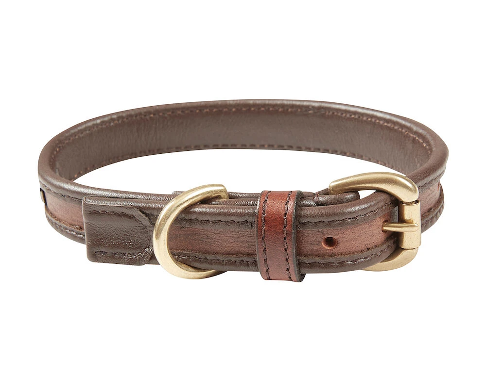 Two Toned Leather Dog Collar