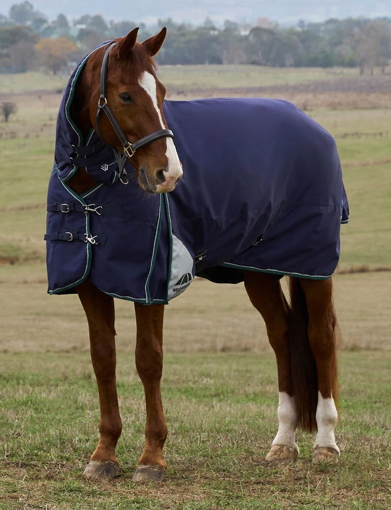 ComFiTec Plus Dynamic Turnout Combo 0G