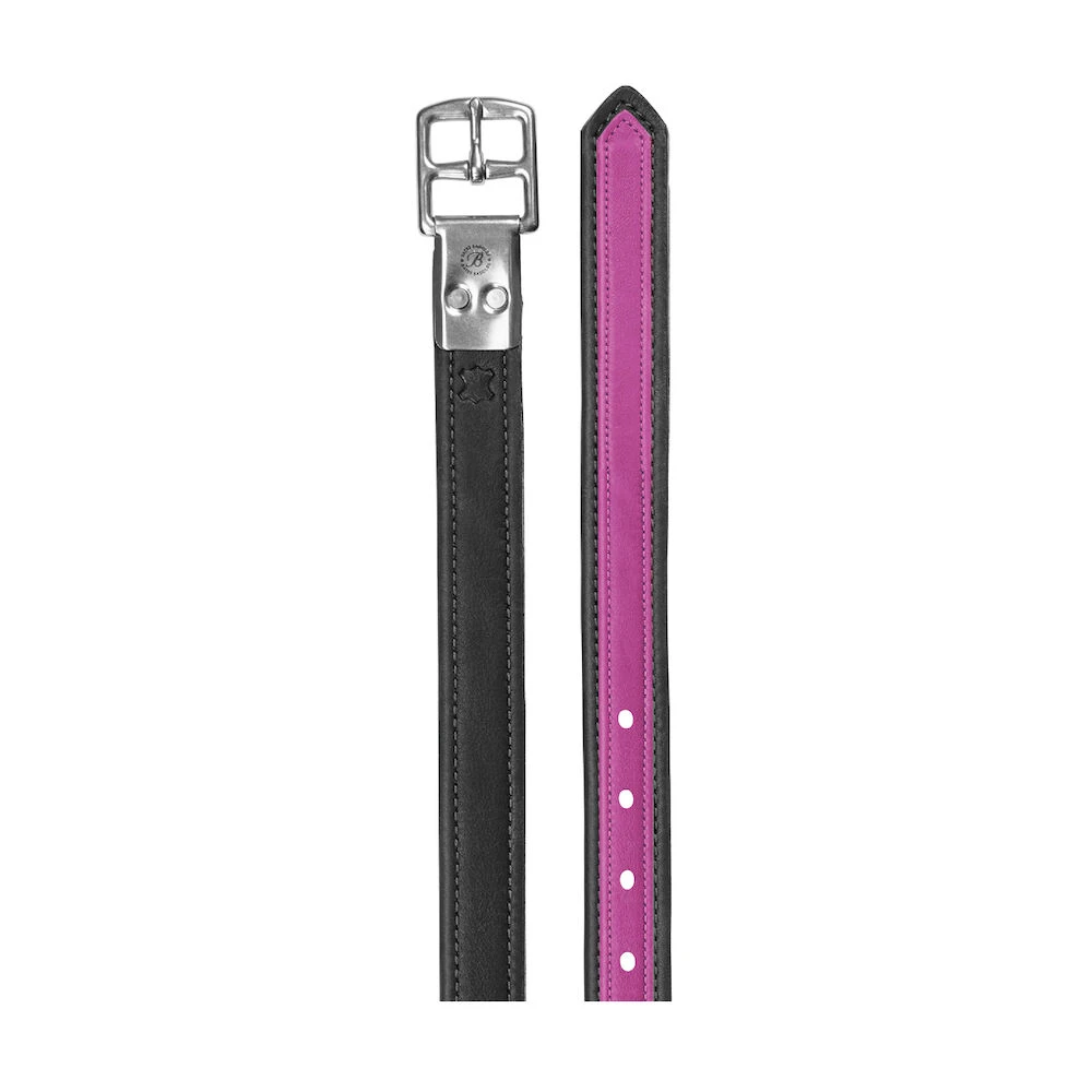 Stirrup Leathers Coloured Luxe