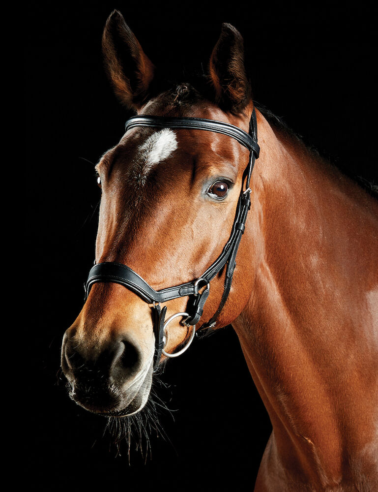 ComFiTec Daina Bridle