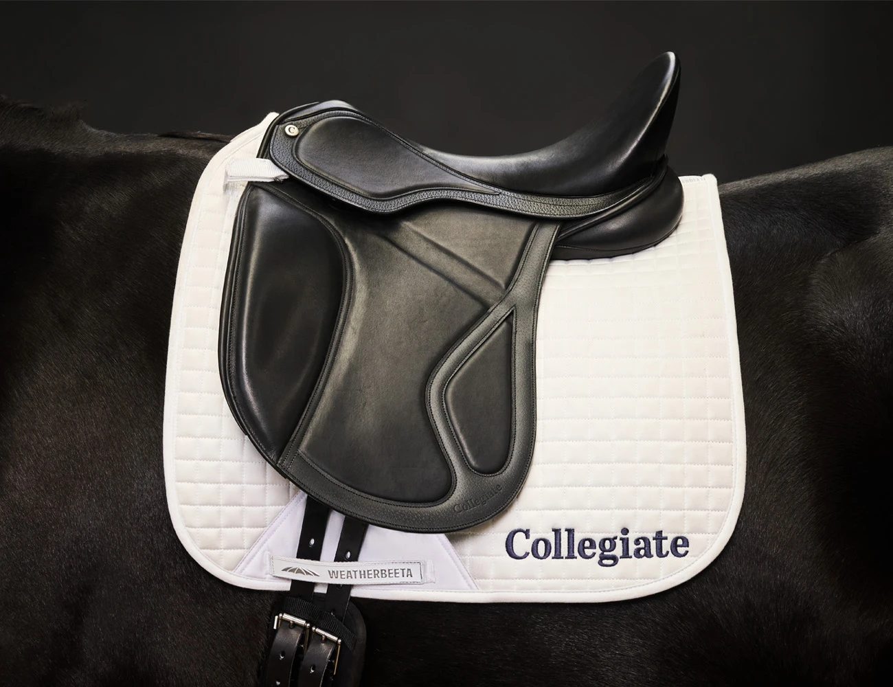 Acclaim Dressage Saddle
