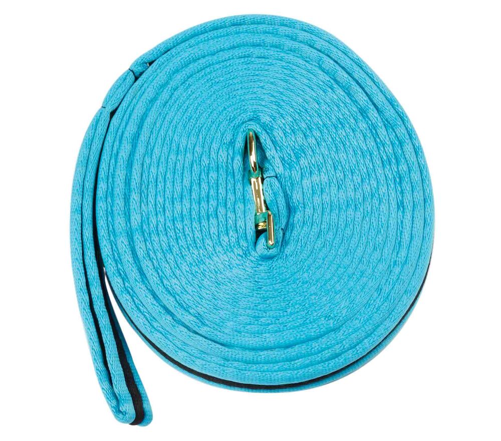Brights Two Tone Padded Lunging Rein