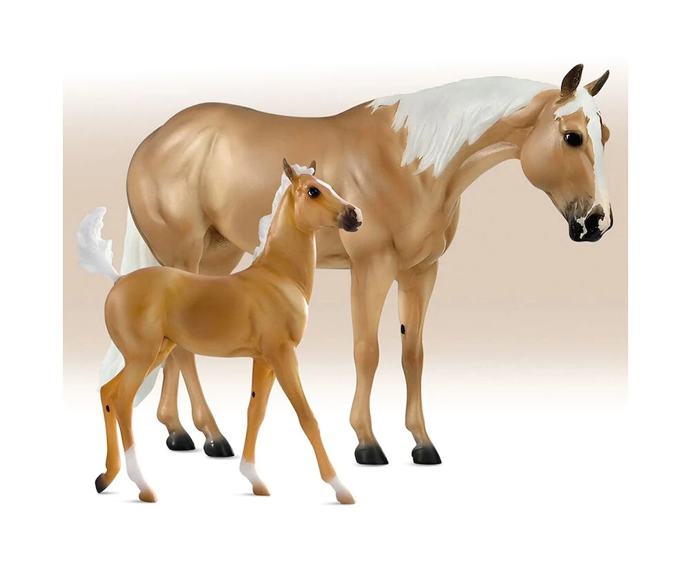 Ebony Shines And Foal
