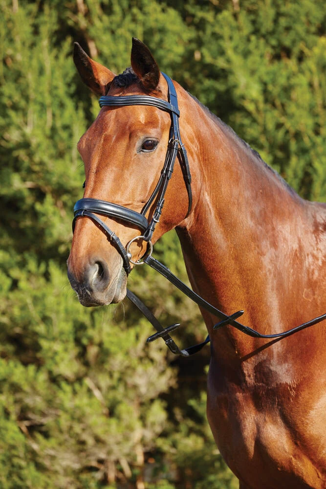 Soft Padded Headpiece Flash Bridle