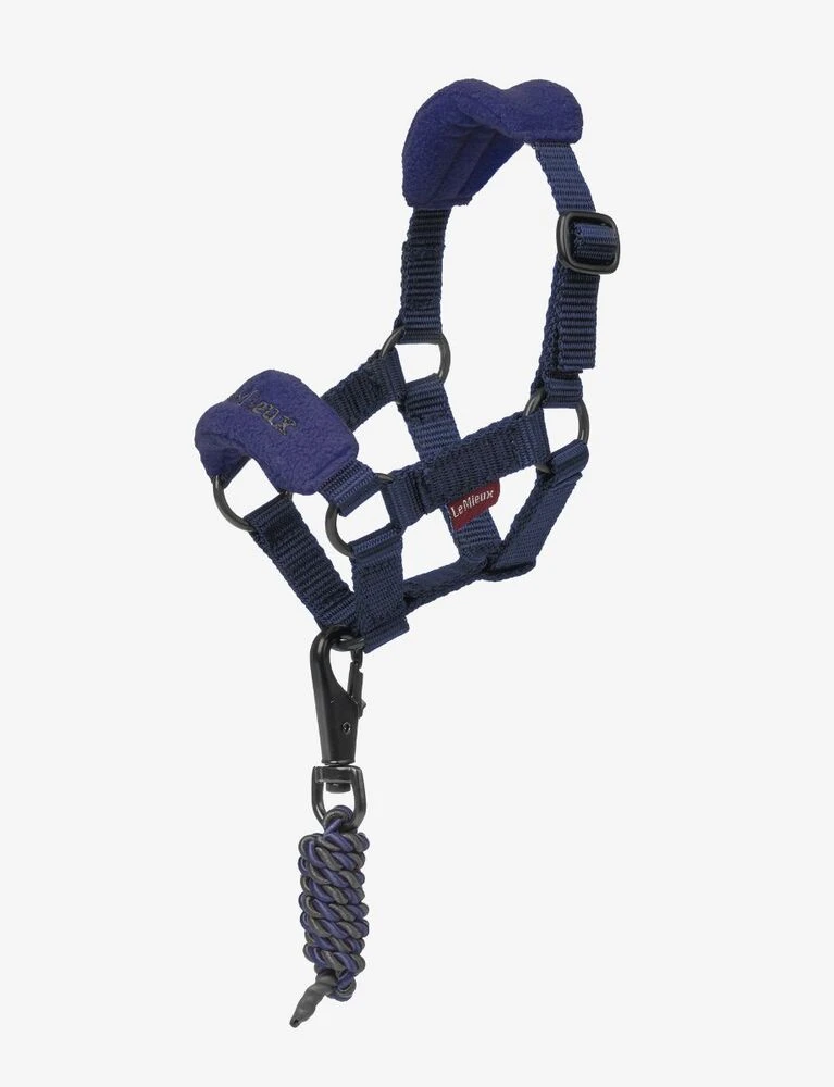 Toy Pony Headcollar