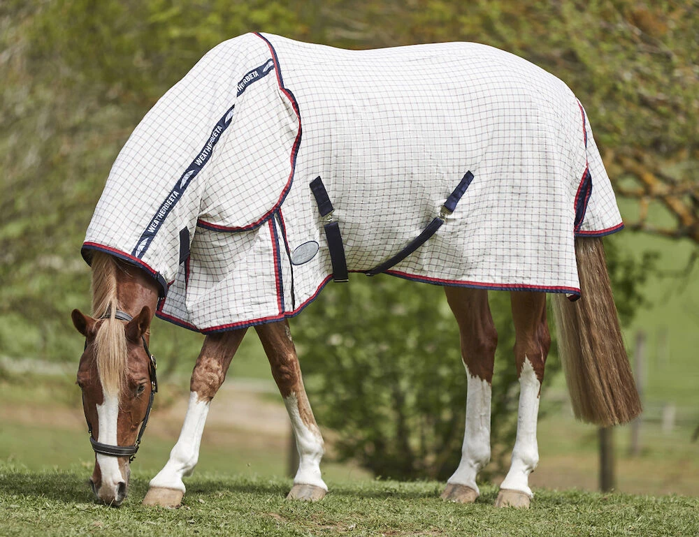Lite Summer Sheet Combo Neck