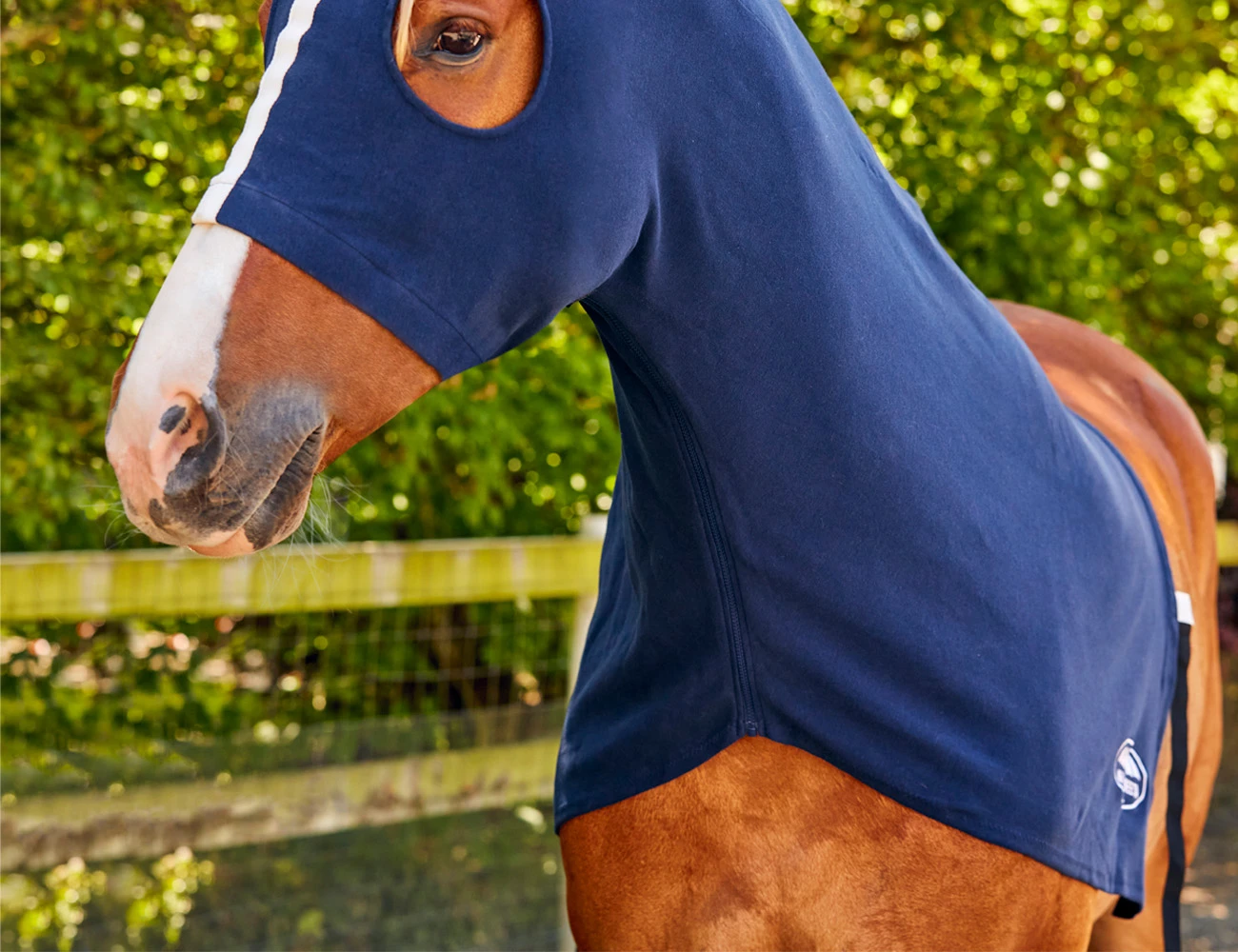 Cotton Stretch Hood With Zip