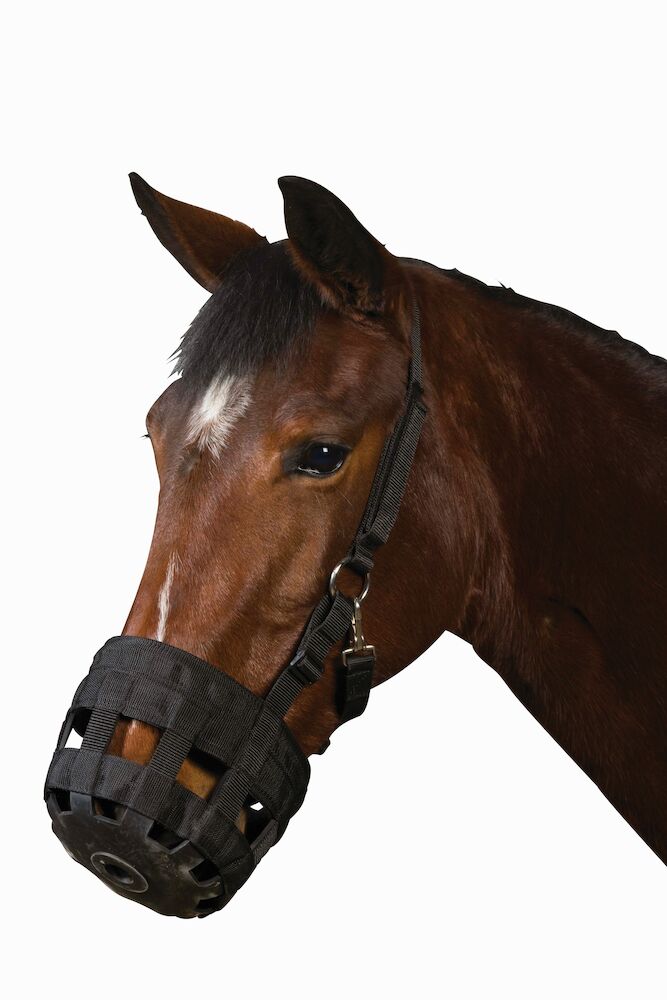 Grazing Muzzle