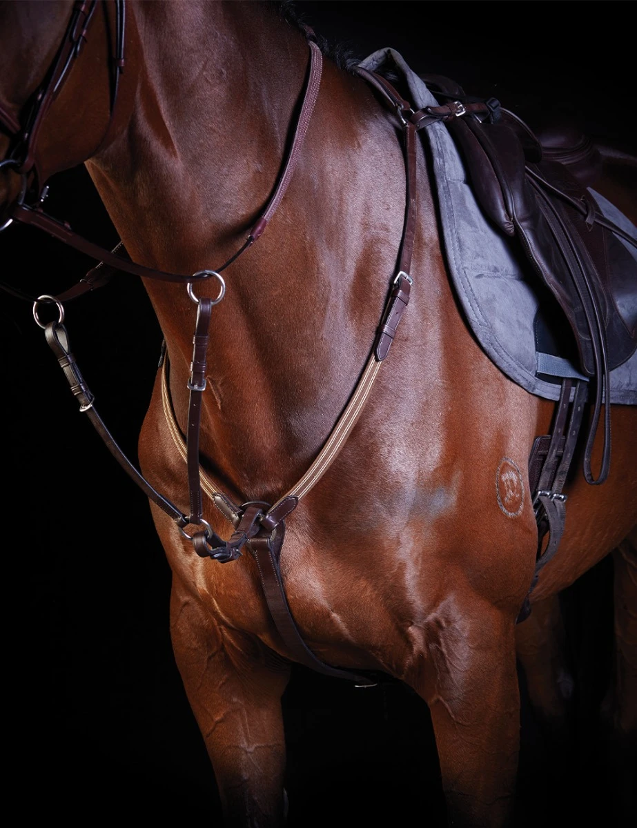 Elastic Event Breastplate