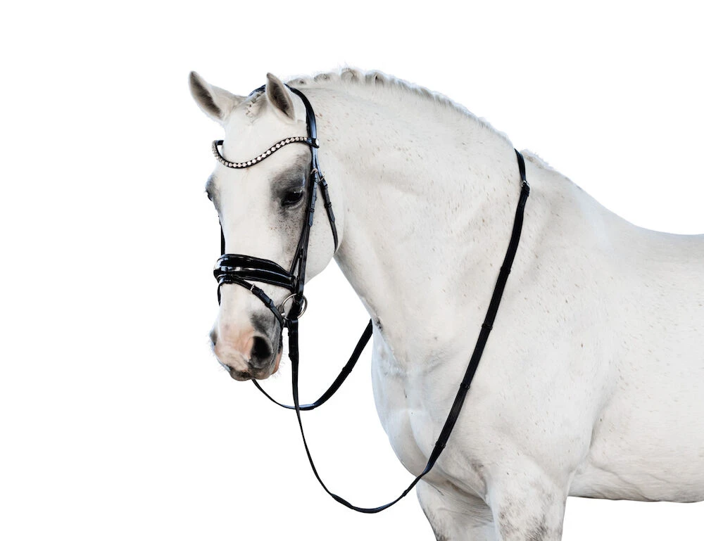 Glam Snaffle Bridle With Flash