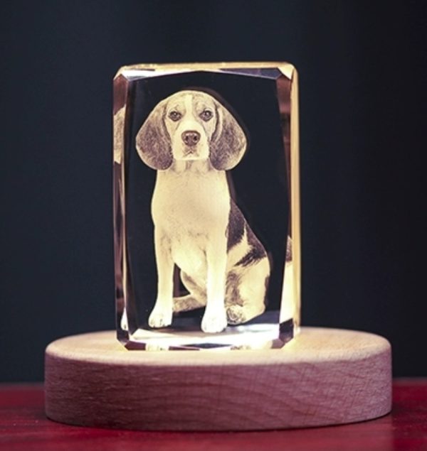 PET-DIY Crystal Memorial – Personalized Engraved Glass Keepsake | Custom Pet or Human Memory Gift | Elegant Tribute Glass Ornament