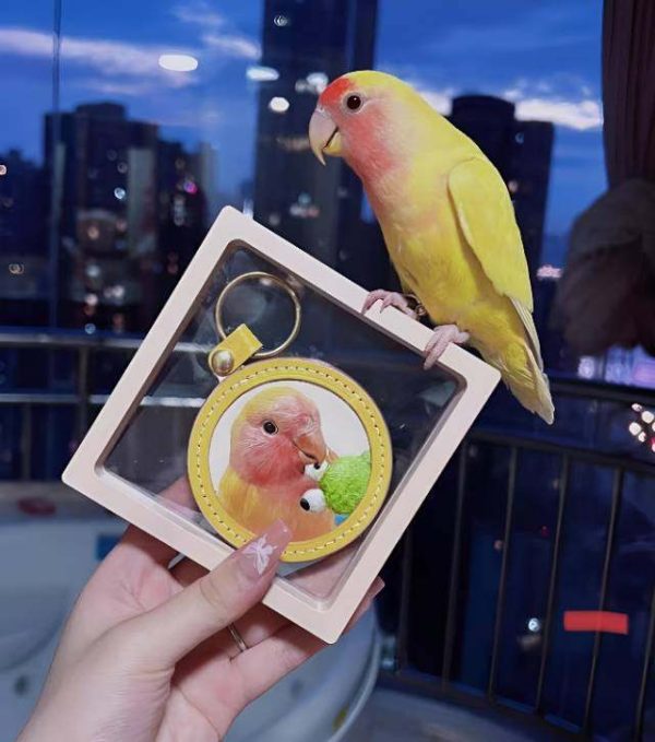 PET-DIY Leather Carved Pendant – Handmade Vintage Necklace for Men & Women