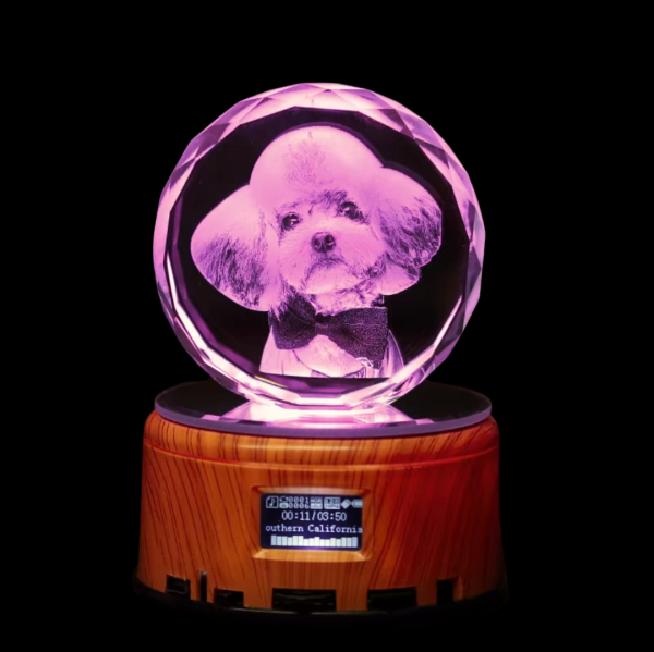 PET-DIY Crystal Memorial – Personalized Engraved Glass Keepsake | Custom Pet or Human Memory Gift | Elegant Tribute Glass Ornament