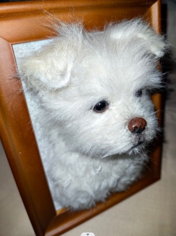 PET-DIY Pet Memorial Gifts – Personalized Pet Keepsake | Custom Engraved Tribute for Dogs & Cats | Memory Ornament for Beloved Pets