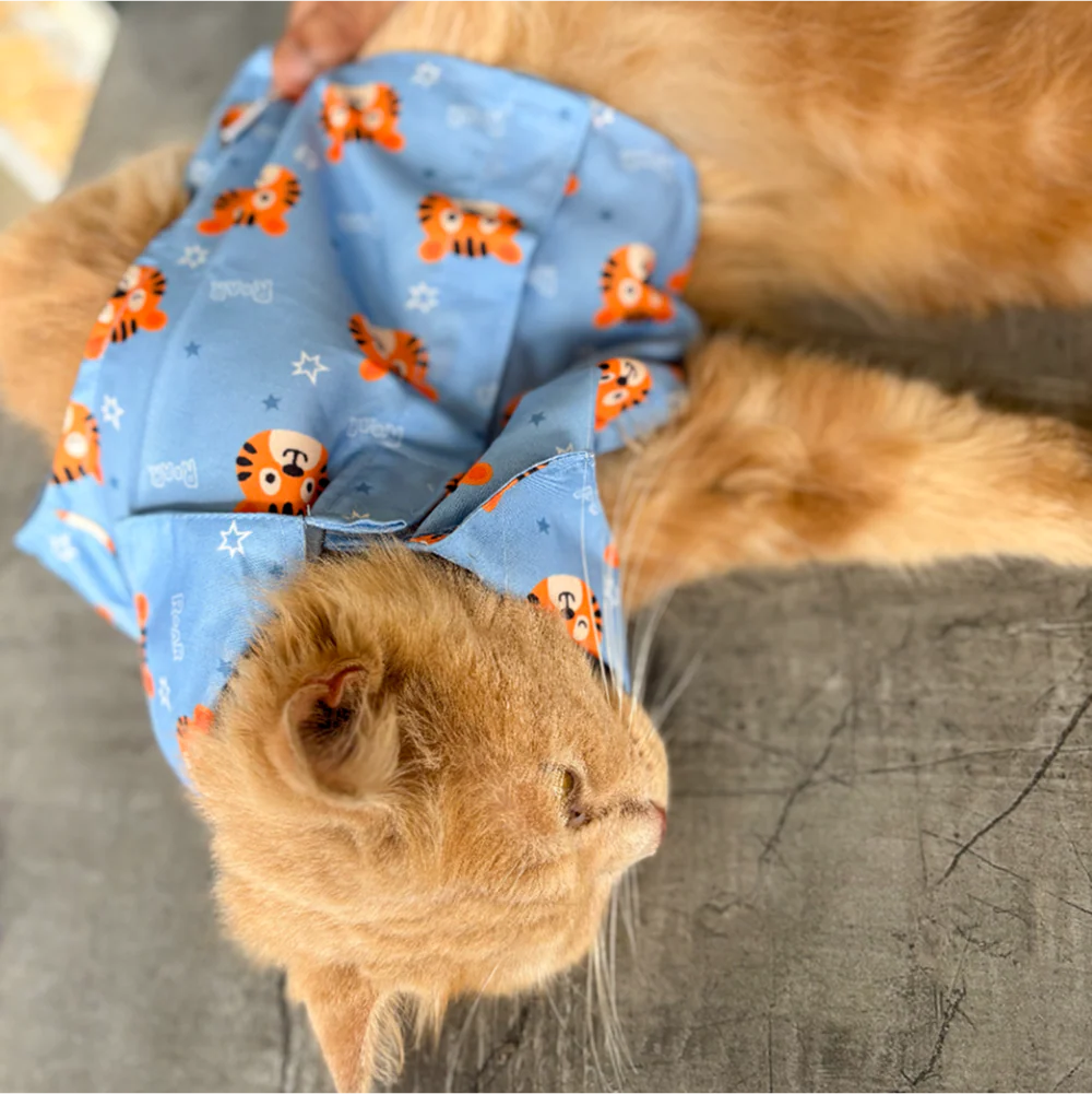 15 Furries Tiger Shirt for Cats (Orange and Blue)