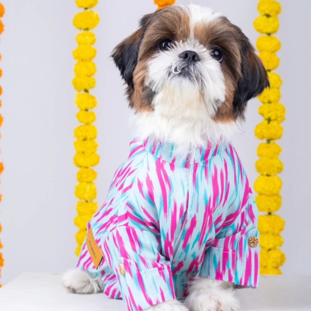 15 Furries Phataka Kurta for Dogs