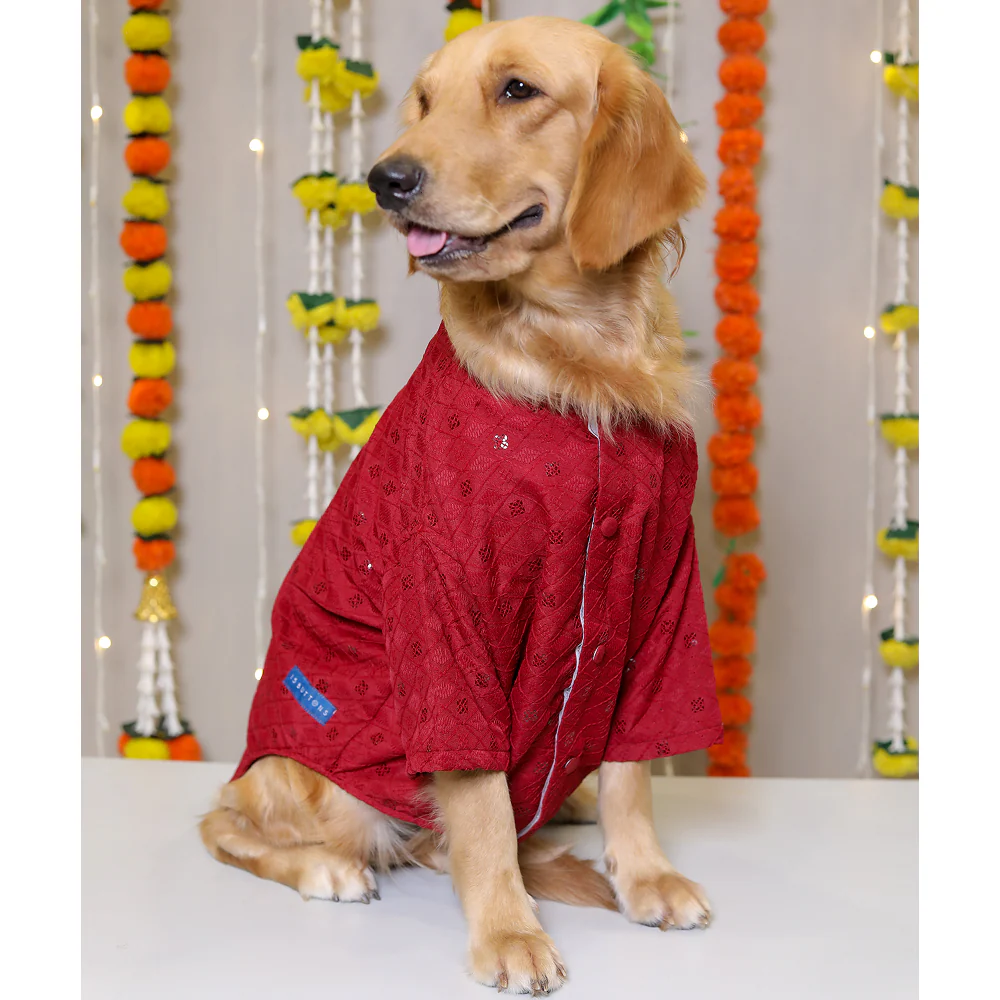 15 Furries Sherwani for Dogs (Red)