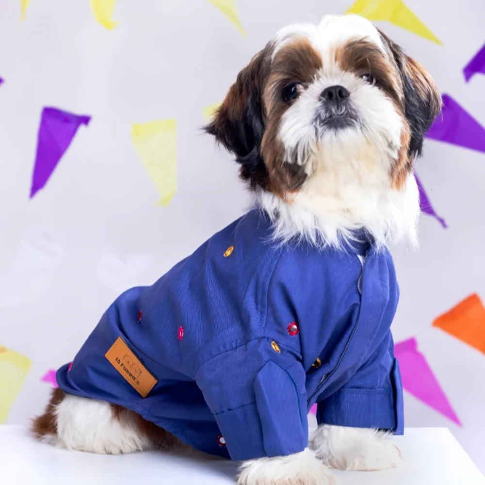 15 Furries Mirrorwork Kurta for Dogs (Persian Blue)